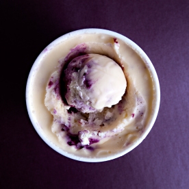 Goat-Cheese-Ice-Cream-w-Blueberry18sSQ